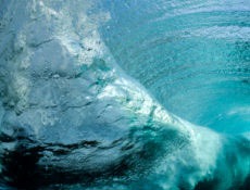 Cappelli Wave