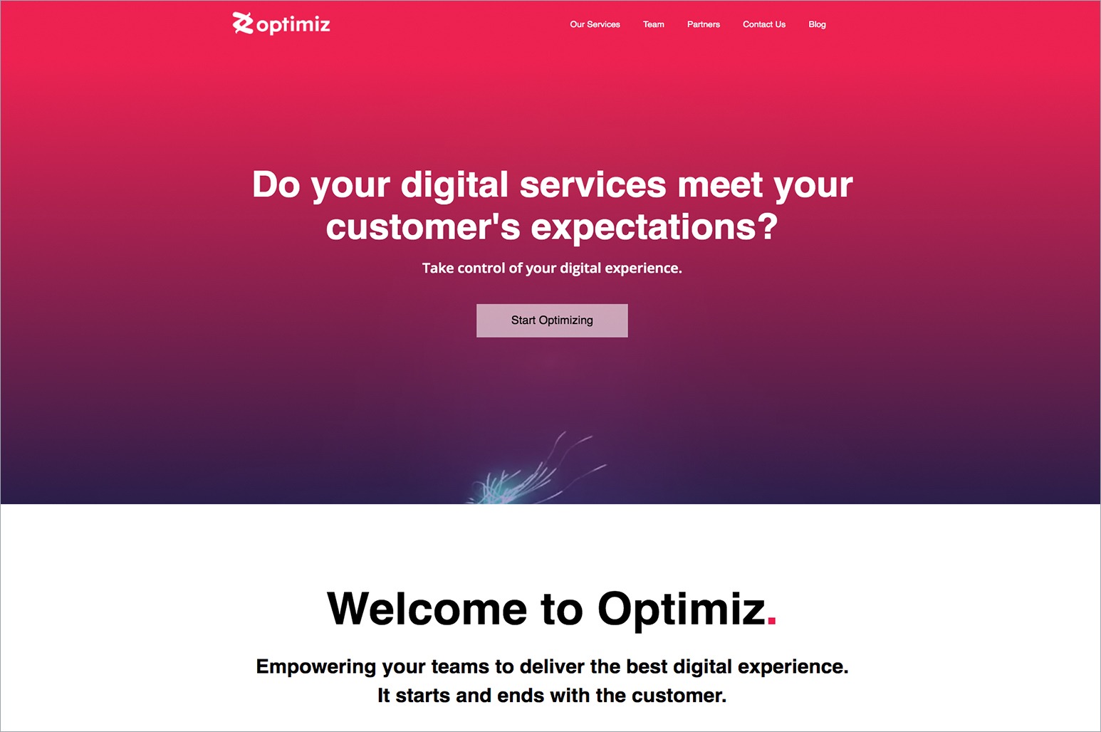 Optimiz Home Page